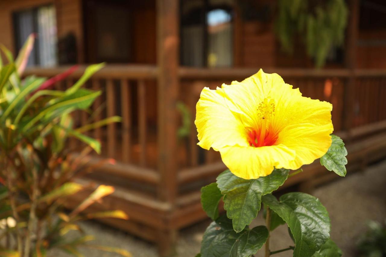 Casa Marcellino Lodge Cahuita Eksteriør bilde