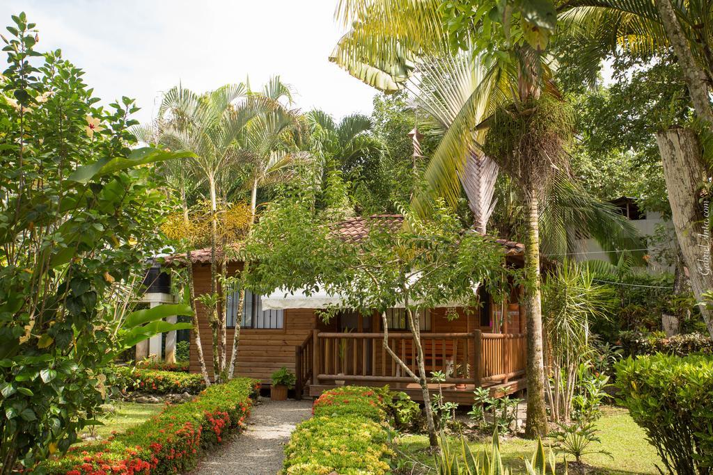 Casa Marcellino Lodge Cahuita Eksteriør bilde