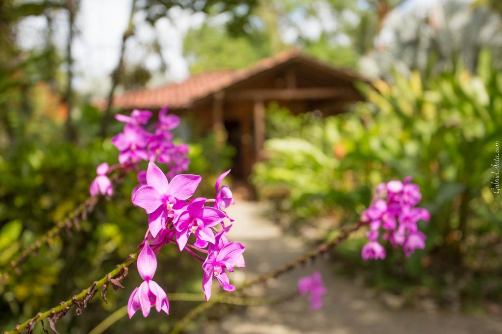 Casa Marcellino Lodge Cahuita Eksteriør bilde