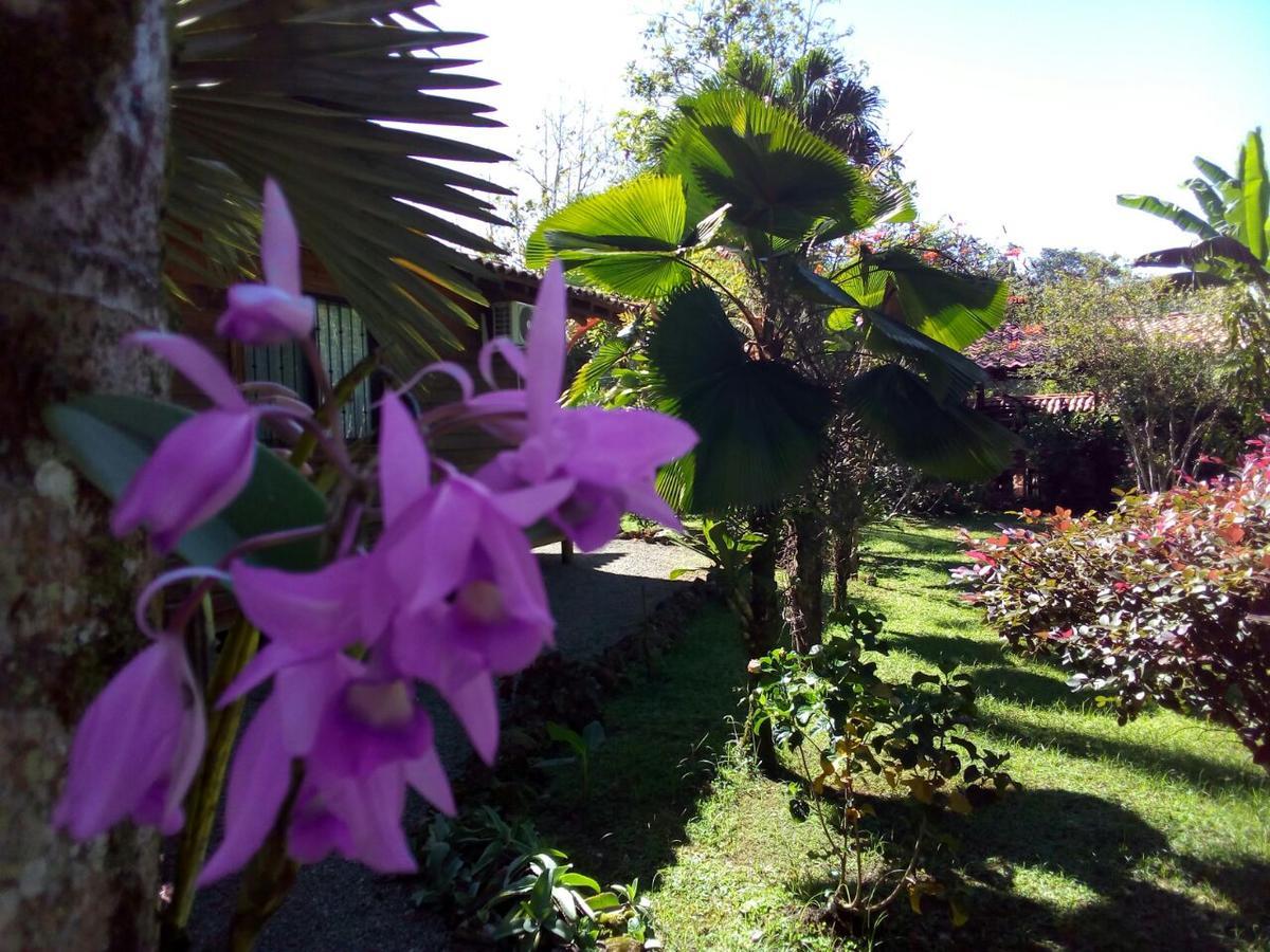 Casa Marcellino Lodge Cahuita Eksteriør bilde