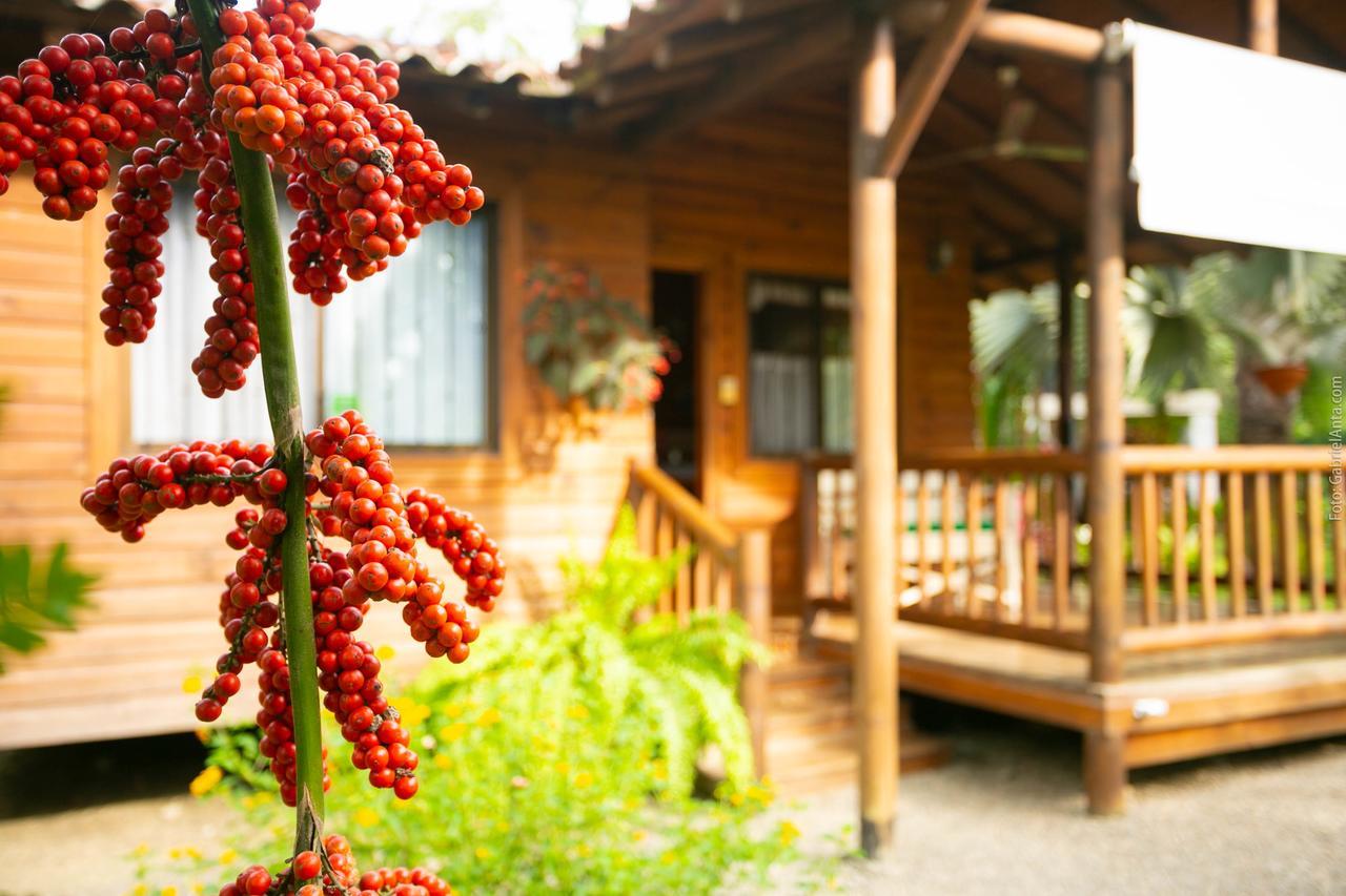 Casa Marcellino Lodge Cahuita Eksteriør bilde